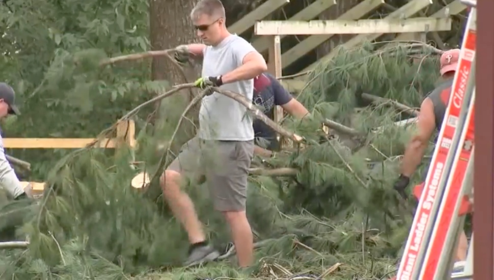 Man cleaning up backyard tree.