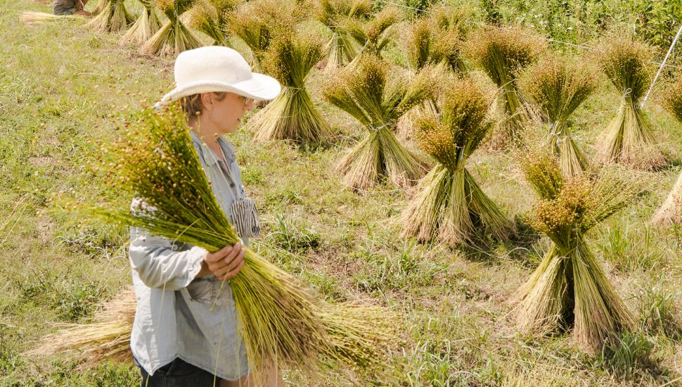 Pa. Flax Project