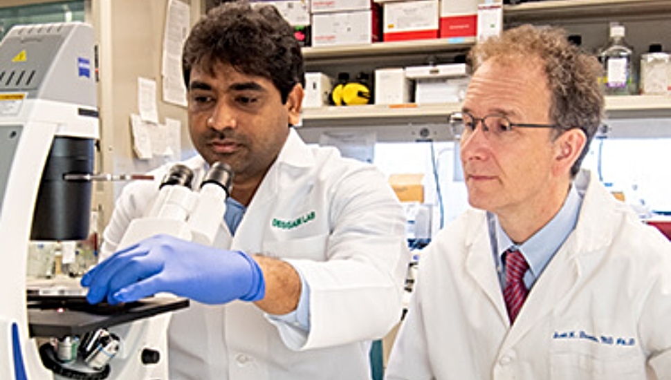 Lankenau Institute for Medical Research