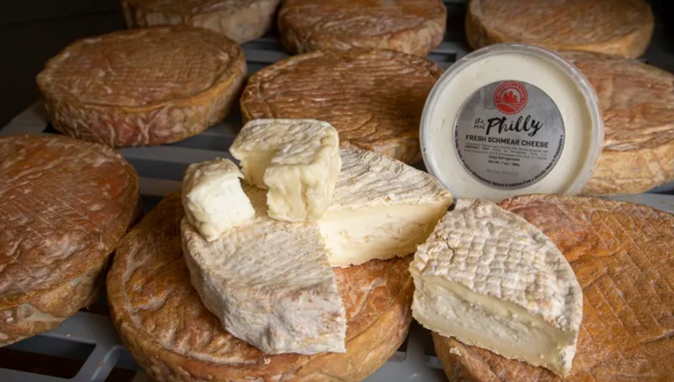 Perrystead Dairy assortment of cheeses.