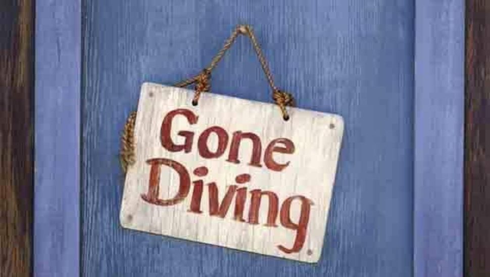 Aqua Dive Aqua Hut Dive and Travel in Ardmore Hut in Ardmore is closing