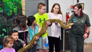 Pet Expo with kids with snake