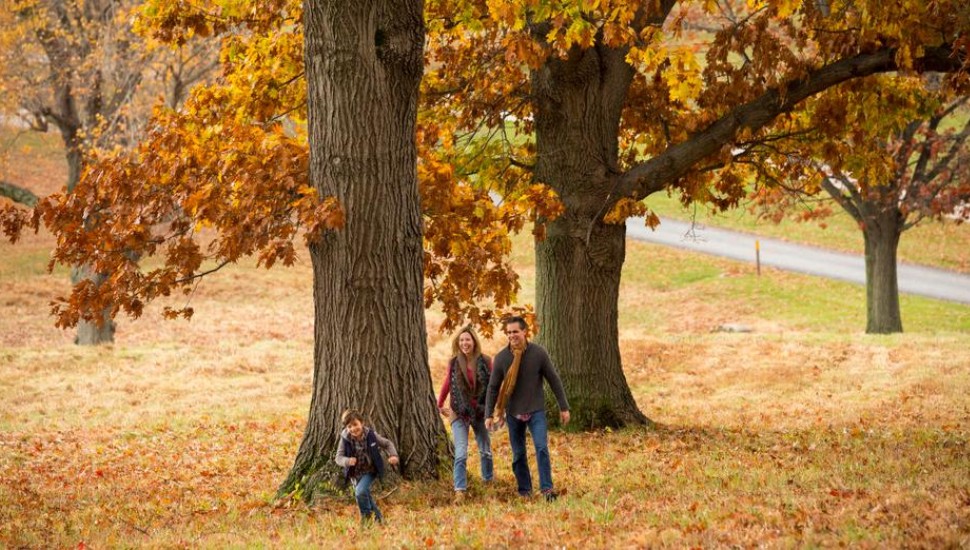 Outstanding October Events and Fall Festivals Happening in Montgomery County