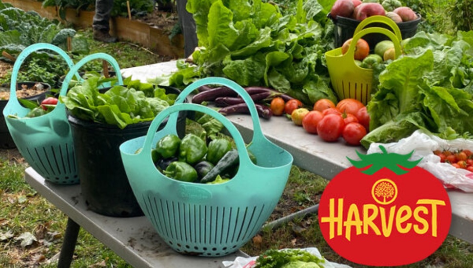 produce donated at Pennsylvania Horticultural Society