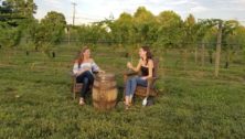 adirondack-and-people-with-wine-in-vineyard
