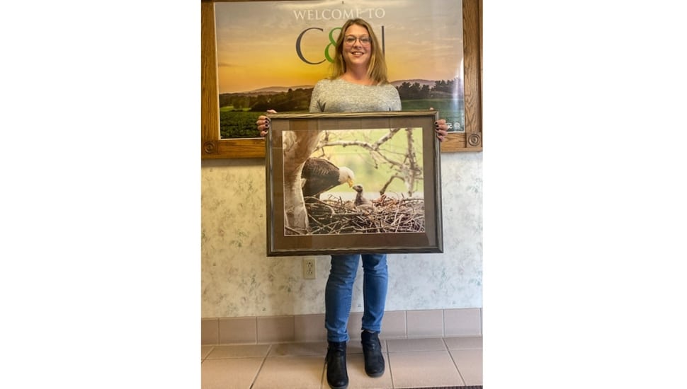 photo contest winner