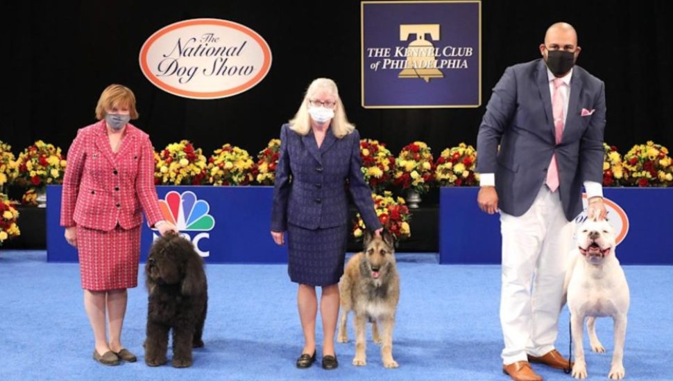 National Dog Show Presented by Purina Crowns New Winner in Broadcast