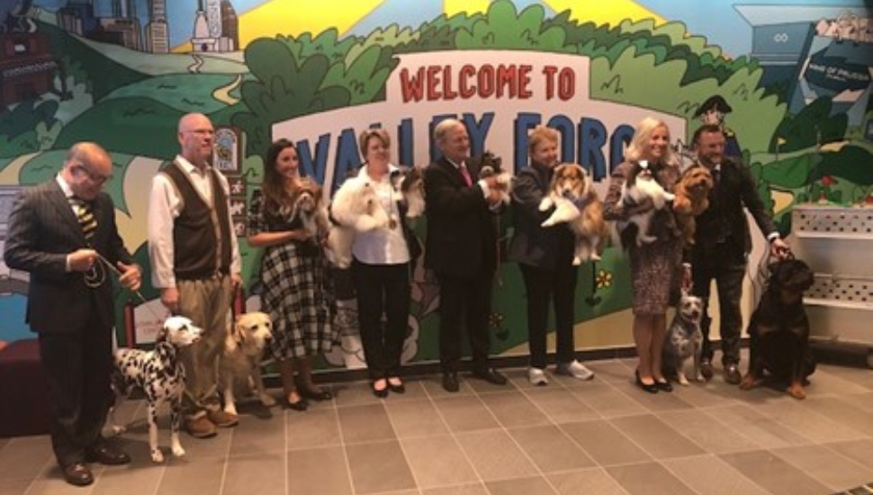 group with dogs
