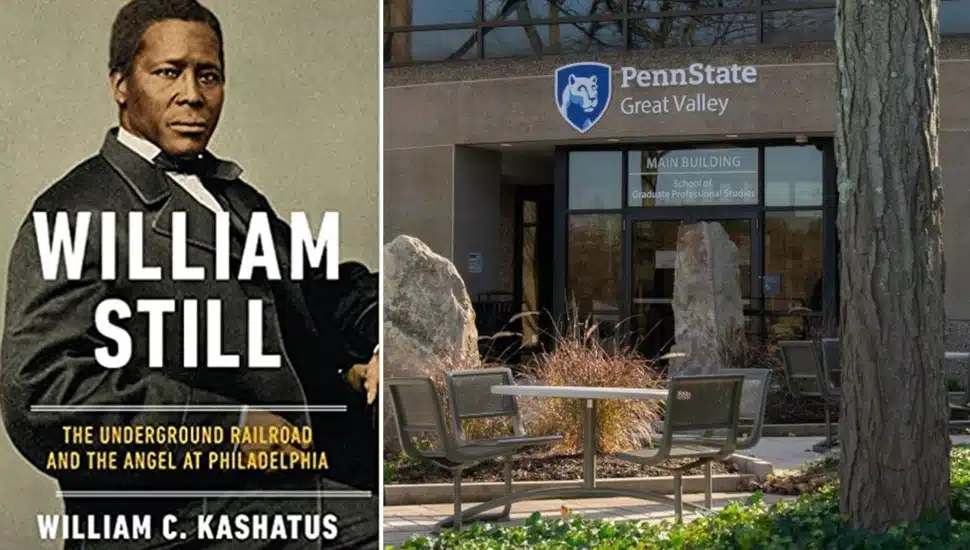 william still biography
