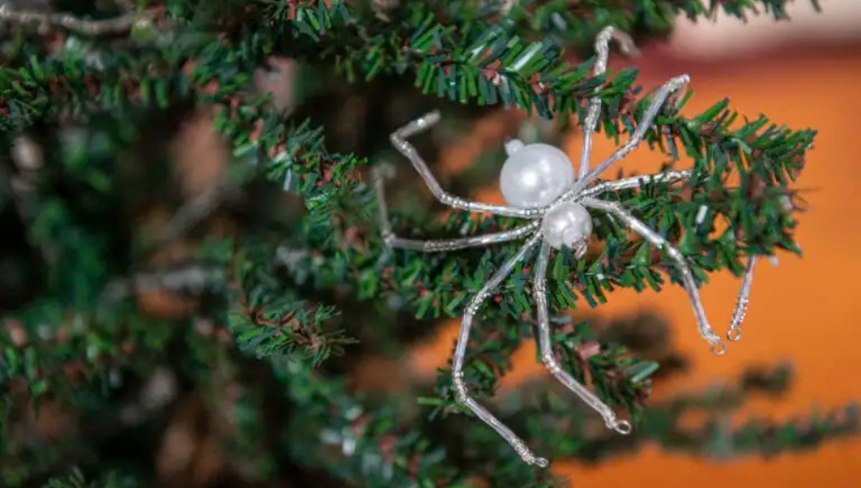 christmas spiders manor college