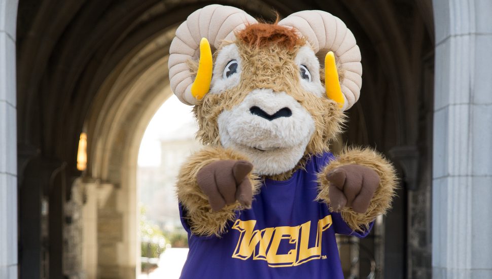 college mascot