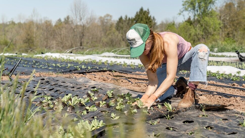urban farming