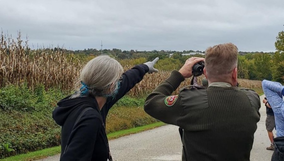 bird walk