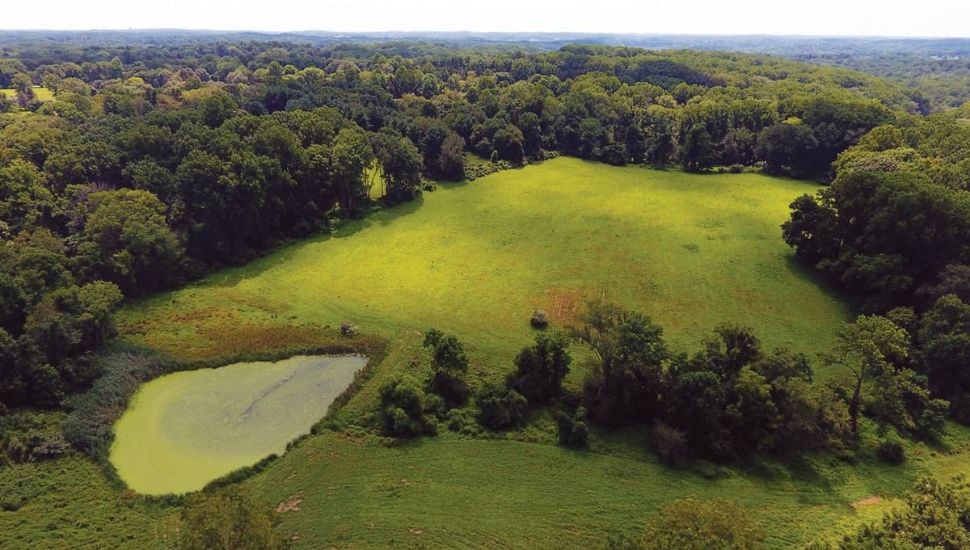 Brinton Run Preserve