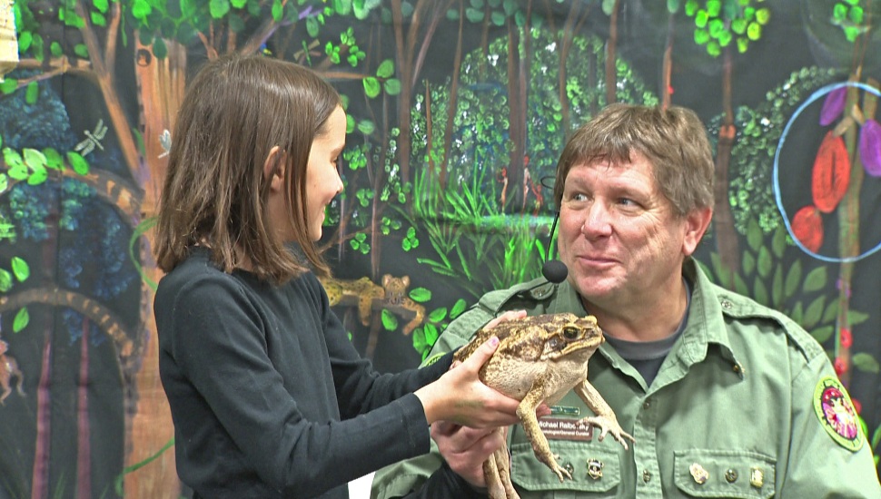 Frog and girl pet expo