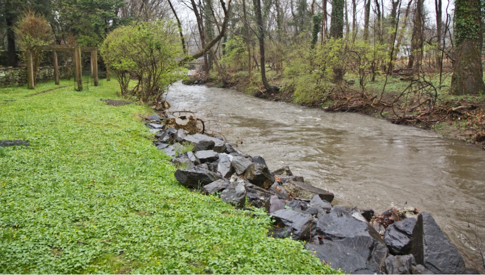 Tookany Creek wetlands