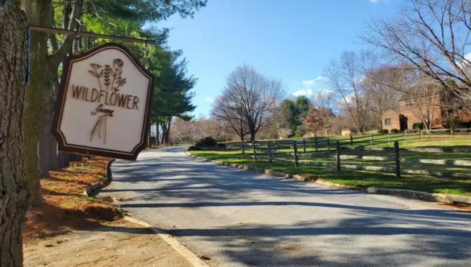 Wildflower Farm