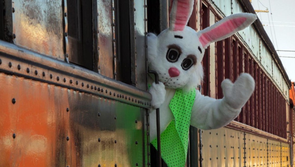 easter bunny