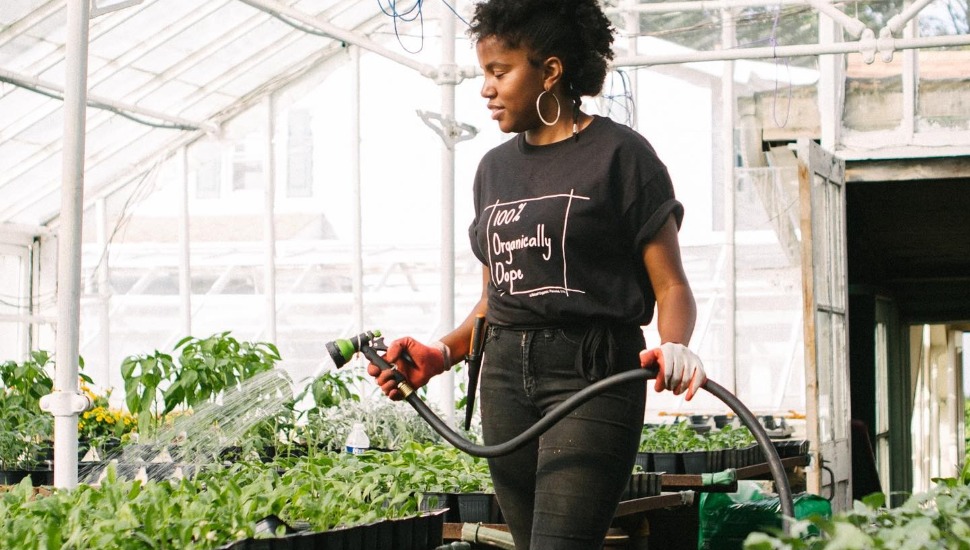CSA greenhouse