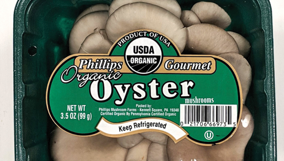 Phillips Mushroom Farms