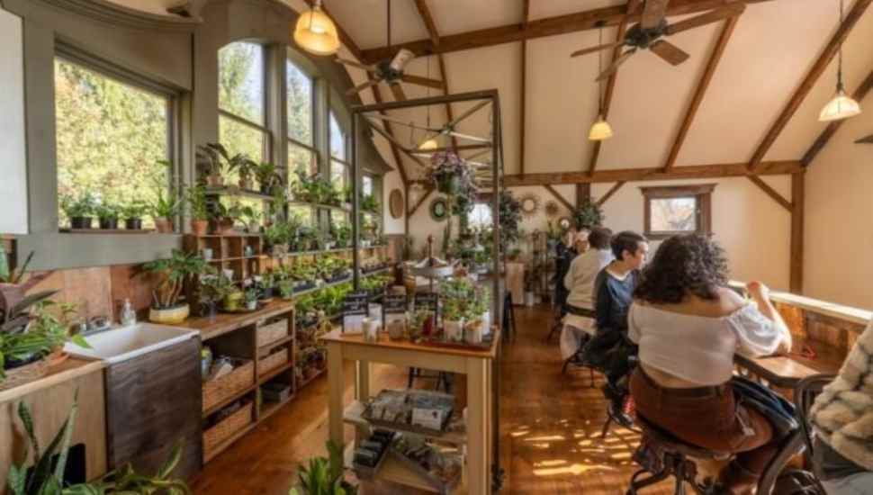 blossom cafe