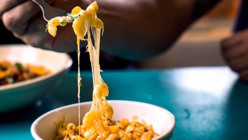 fork with macaroni and cheese