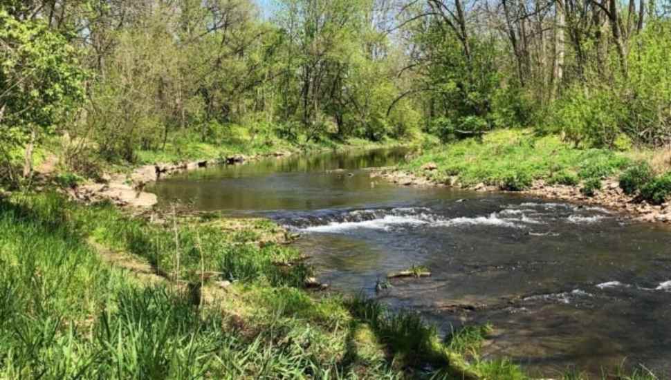 stream in the woods