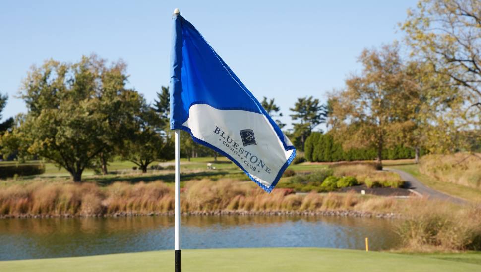 blue-white flag on a green