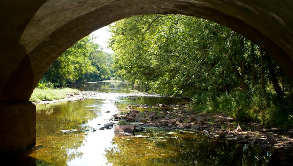 stream under a bridge