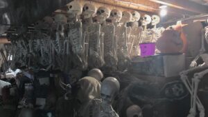 skeletons in storage
