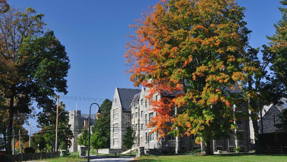 stone building amid fall trees