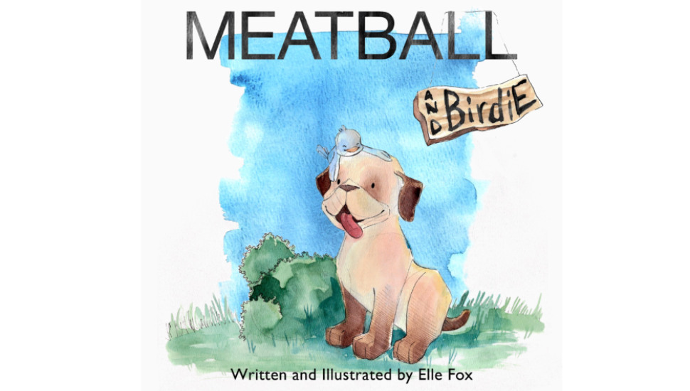 illustrated book cover from elle fox