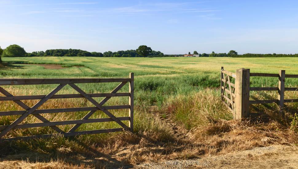 open land