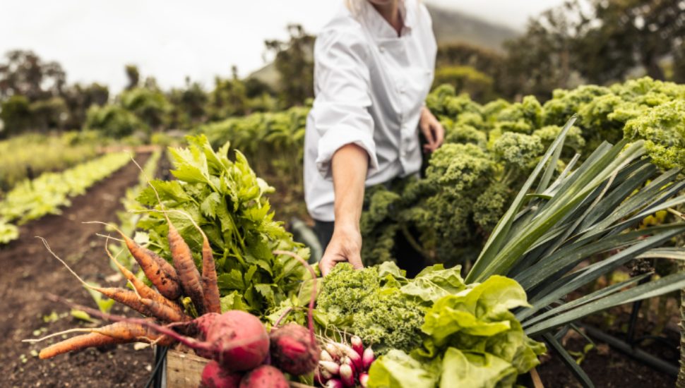 woman in white blouse with boxed vegetables