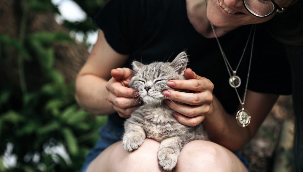 The Philly Area Has Highest Percentage of Cat Owners in Nation