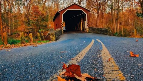 covered bridge in fall