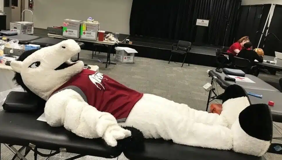 MCCC mascot