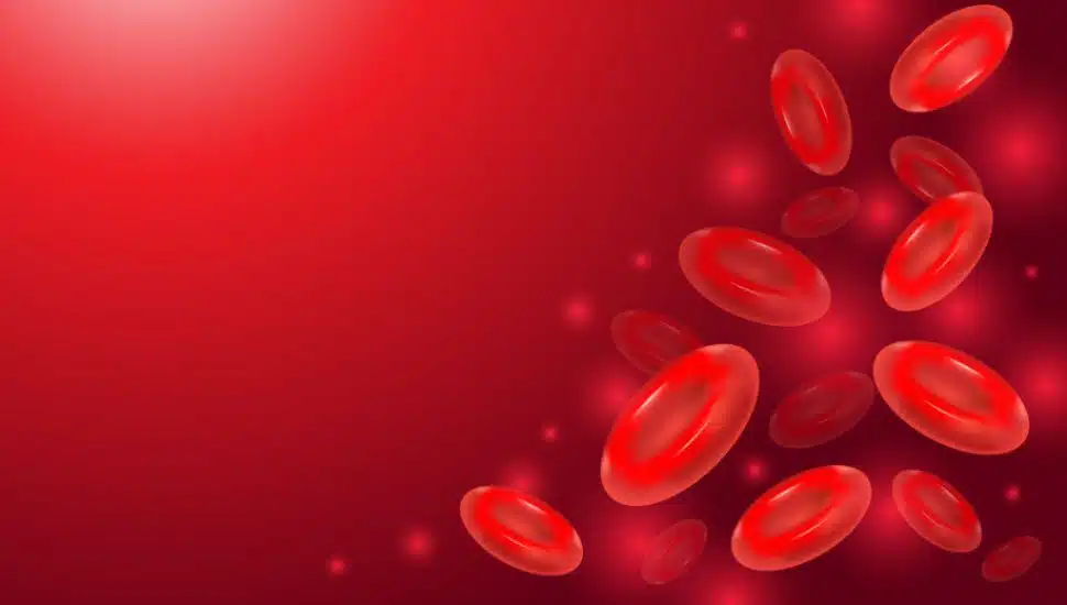 red blood cells