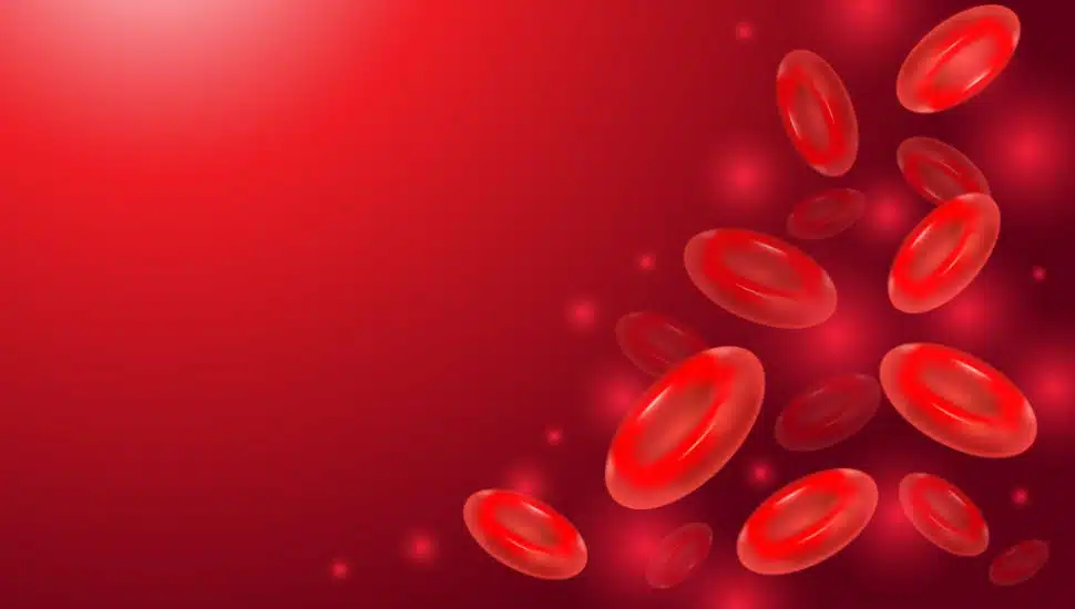 red blood cells