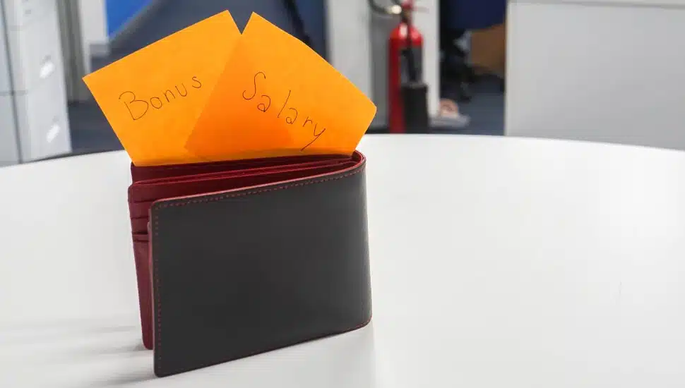 Annual Bonus wallet