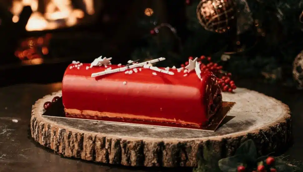chocolate yule log