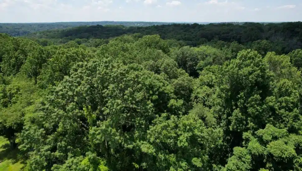 Anonymous Donations Save ‘Boy Scout Tract’ — Near Gladwyne — Forever from Development