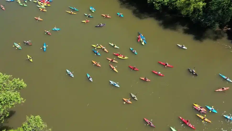 paddlers on the water