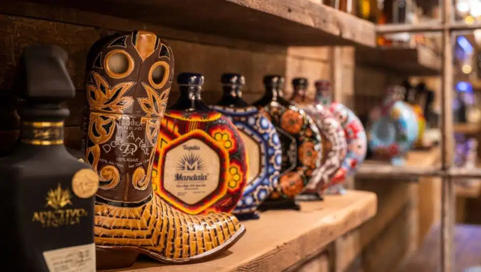 Tequila in a Wine Cellar? No. Montco Tycoon Has a Room Just for His South-of-the-Border Spirits