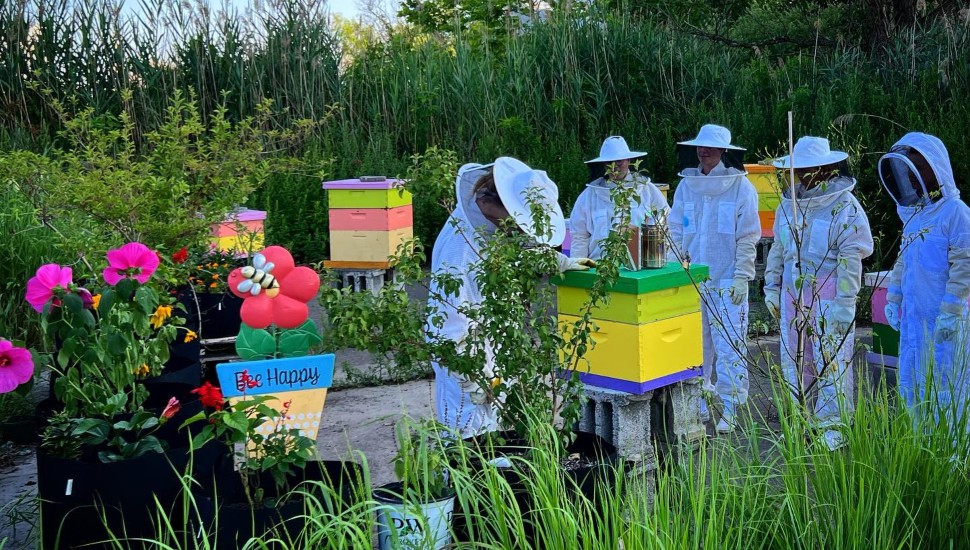Half Mad Honey Class