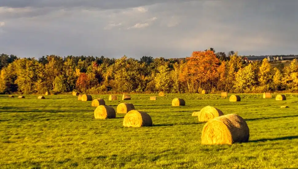 Lancaster in the Fall