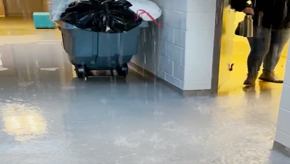 Burst Pipe Forced Quakertown Shelter to Relocate Dozens of Animals