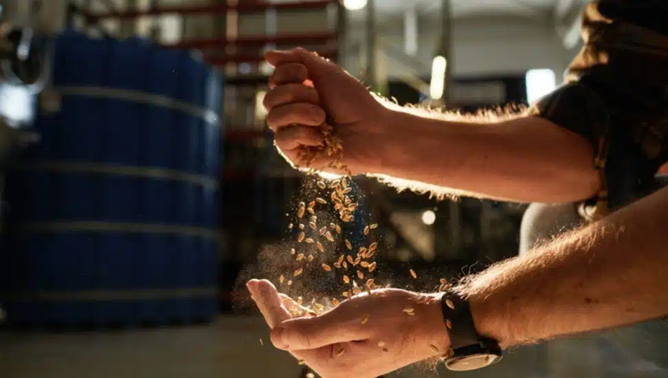 craft breweries using fresh ingredients