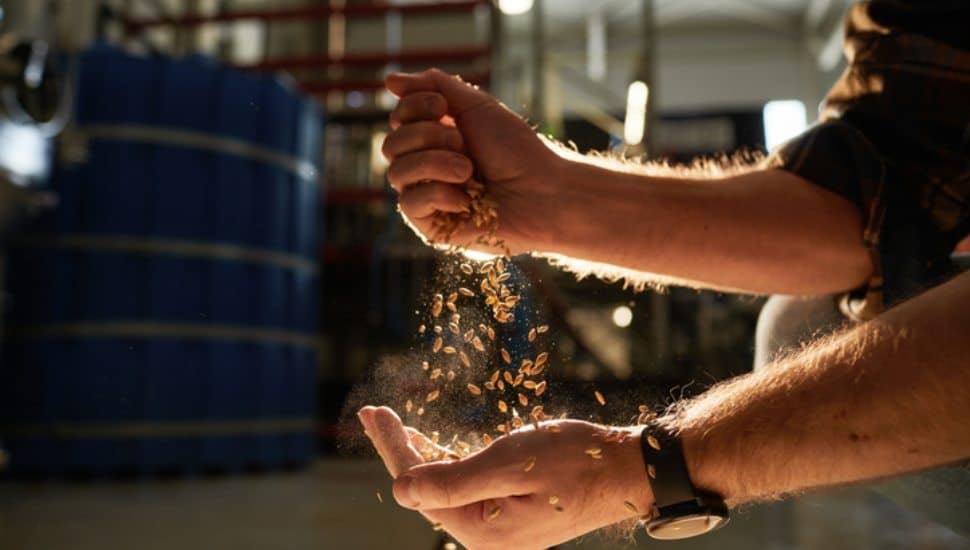 craft breweries using fresh ingredients