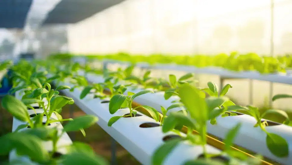urban agriculture equipment